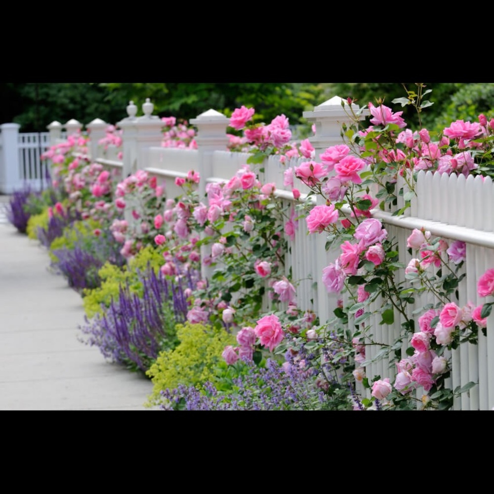 Meet your Posher, Hilary